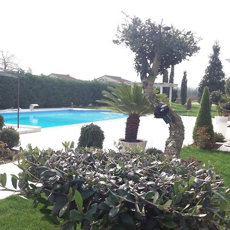 Agriturismo Sant' Isidoro Villa Anagni Luaran gambar